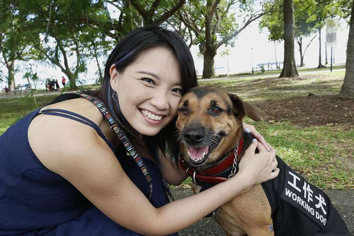 Meet Butter, the life-saving diabetes service dog