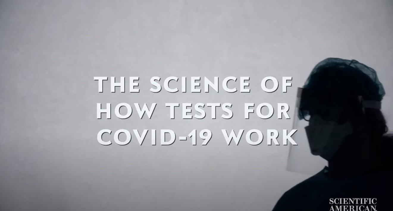 How Tests for Covid-19 Work